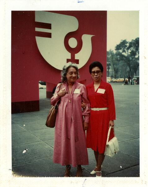 Betty Friedan with unidentified woman at United Nations International Women's Year conference