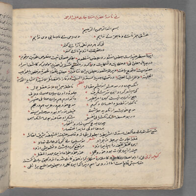 Nayʹnāmah-ʼi Ḥaẓrat-i Munlā Jāmī : manuscript, undated