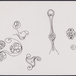 Drawing in black ink of organic, plant-like shapes