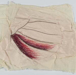 Beige fabric with red and brown stitching in the shape of feathers or wings