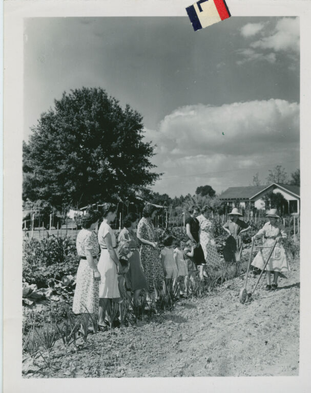 Group of woman stands alongside garden in a line. From Women's National Farm and Garden Association.