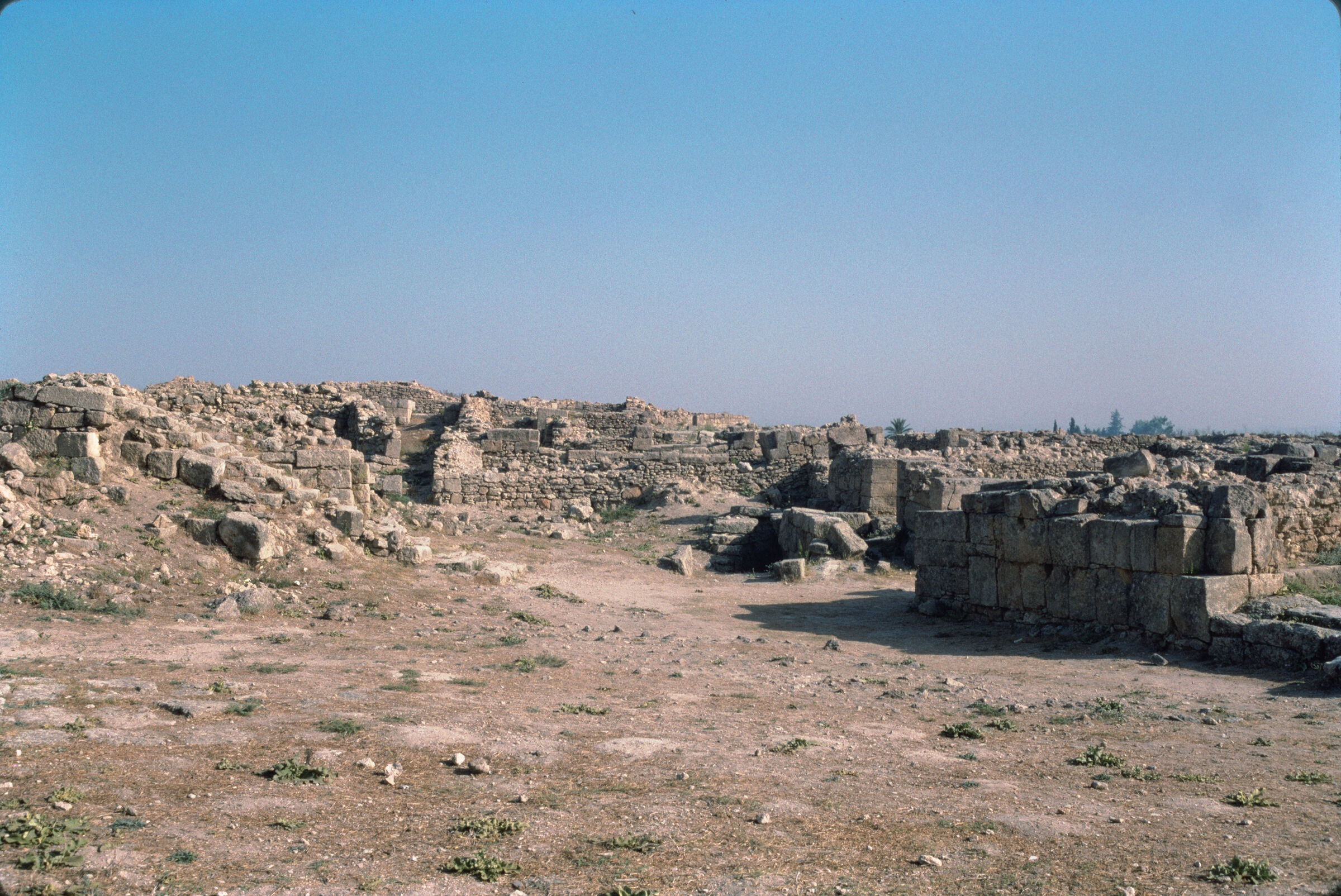 Overview of the ancient city of Ugarit, including remnants of buildings and fortification walls